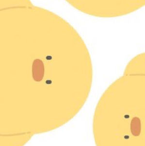 Meet your Posher, Iris